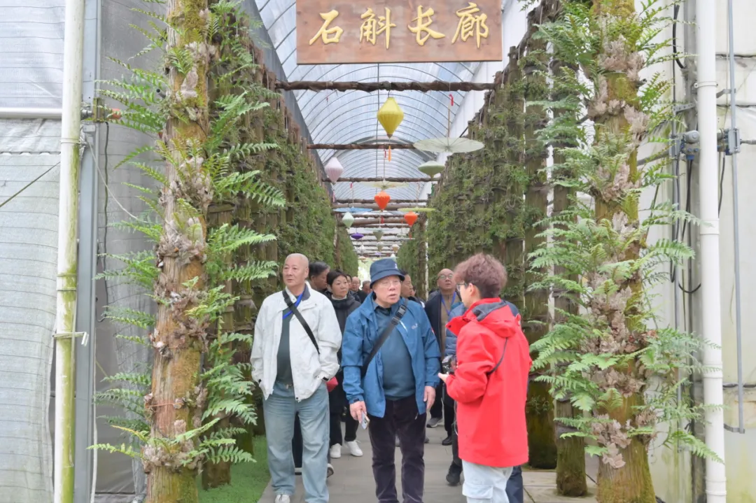 浙江AG电游医药股份有限公司